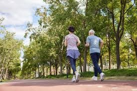 福岛莲夺本季首胜！主场战完美画下句点｜日职